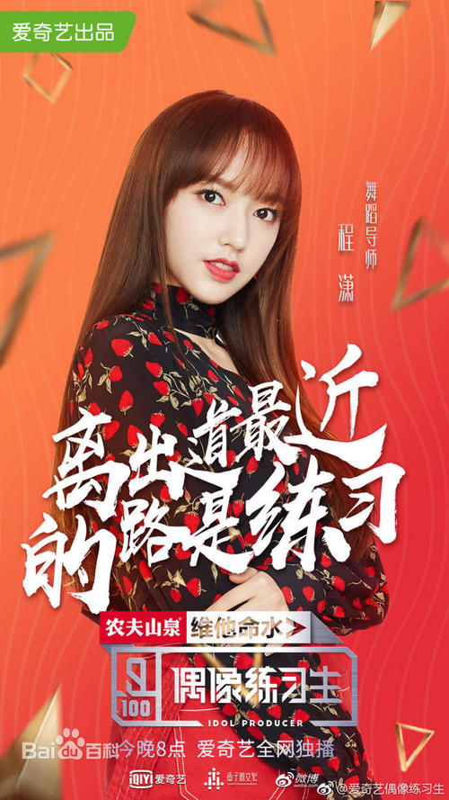 办假的注册会计师证